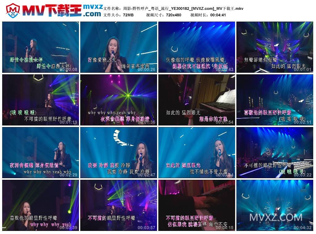 周影-野性呼声_粤语_流行_YE300182